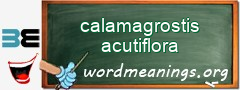 WordMeaning blackboard for calamagrostis acutiflora